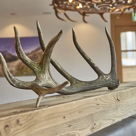 Berg- & Seeblick Pfefferbauer Appartement *